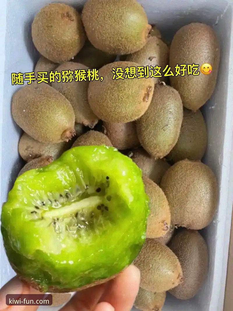 奇异果娱乐使用教程常见问题：从下载安装到支付全攻略